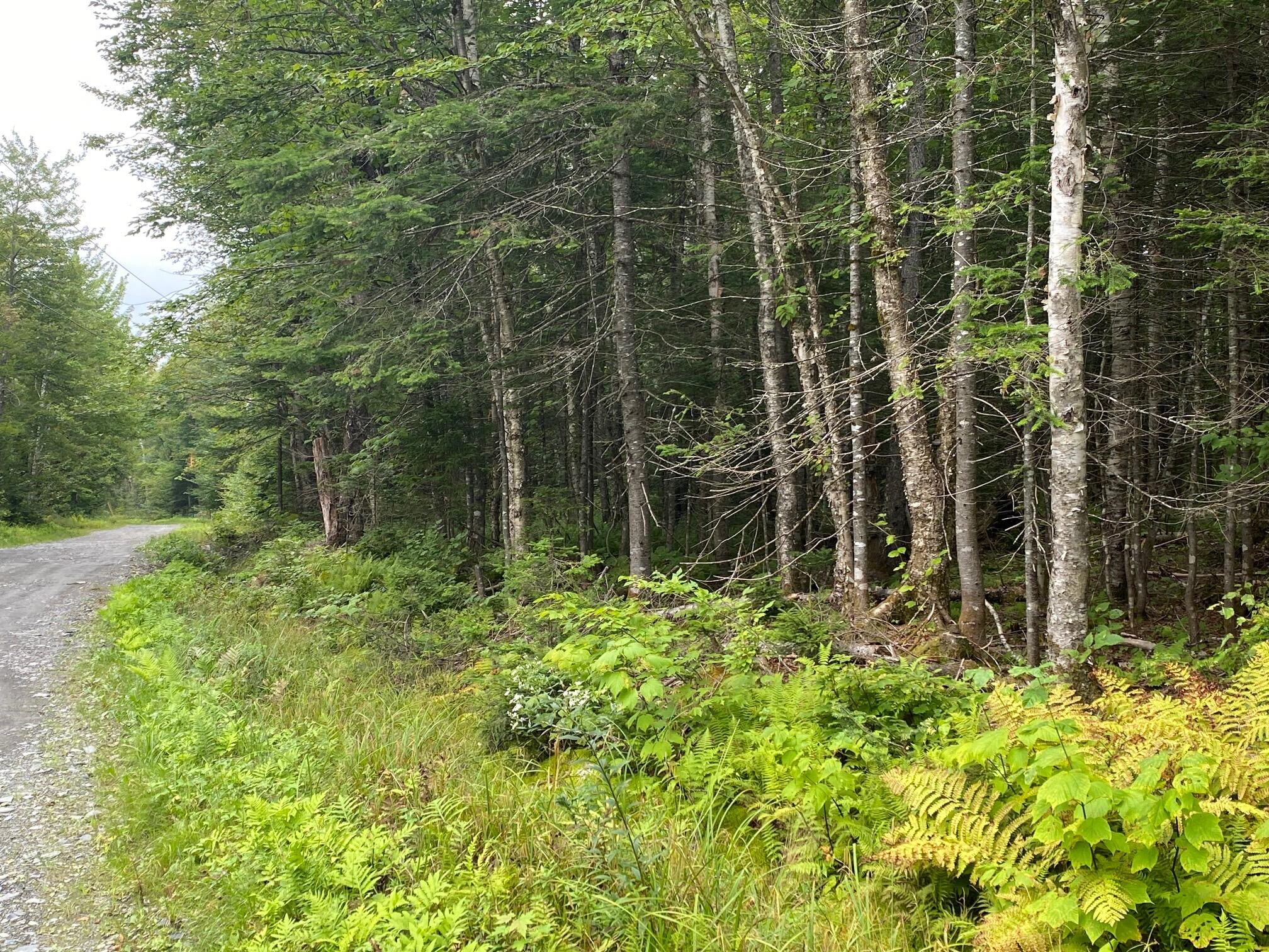 9-17 Oak Ridge Road Shirley, ME 04485 - Photo 6 of 7 IMG_1303