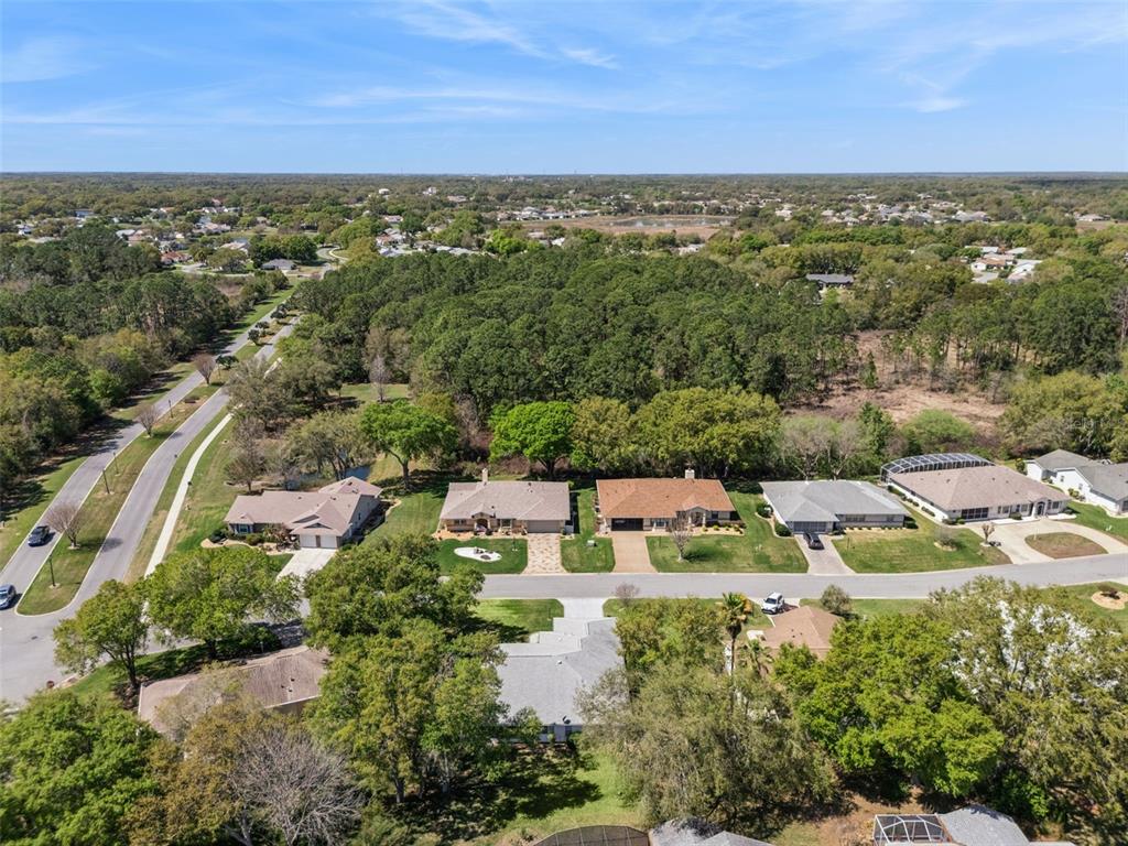 27217 Racquet Circle Leesburg, FL 34748 - Photo 48 of 90