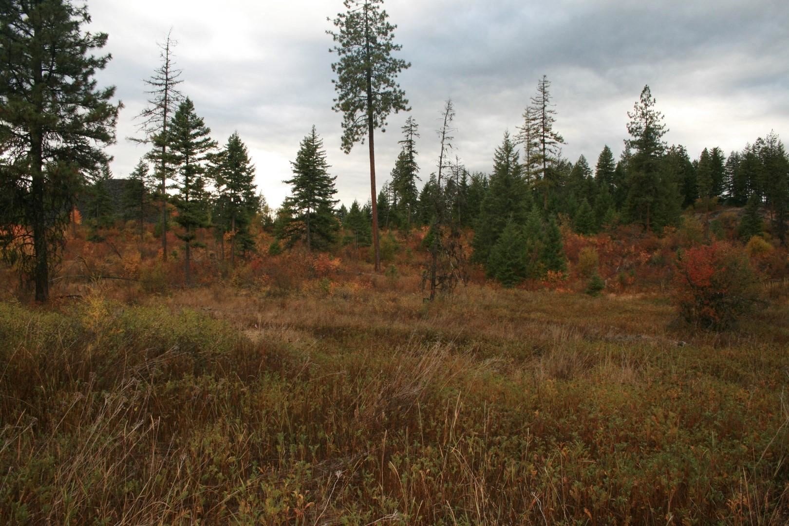 0 Little Sweden Road, Unit LOT 2 Valley, WA 99181 - Photo 3 of 4