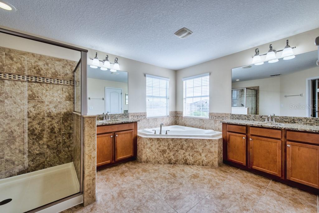2409 Allegheny Valley Street Ruskin, FL 33570 - Photo 23 of 53 a large bathroom with a granite countertop tub sink and mirror