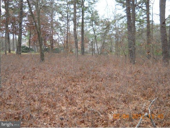 11 Rodeo Drive West Creek, NJ 08092 - Photo 21 of 24 Gallery Image 21