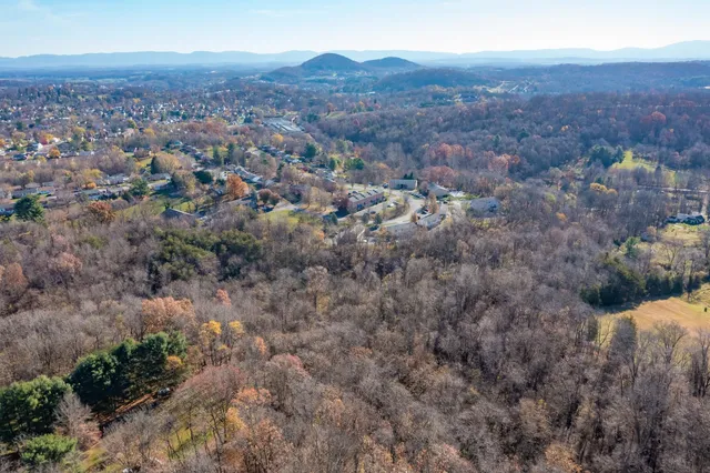 an aerial view of residential houses with outdoor space and trees