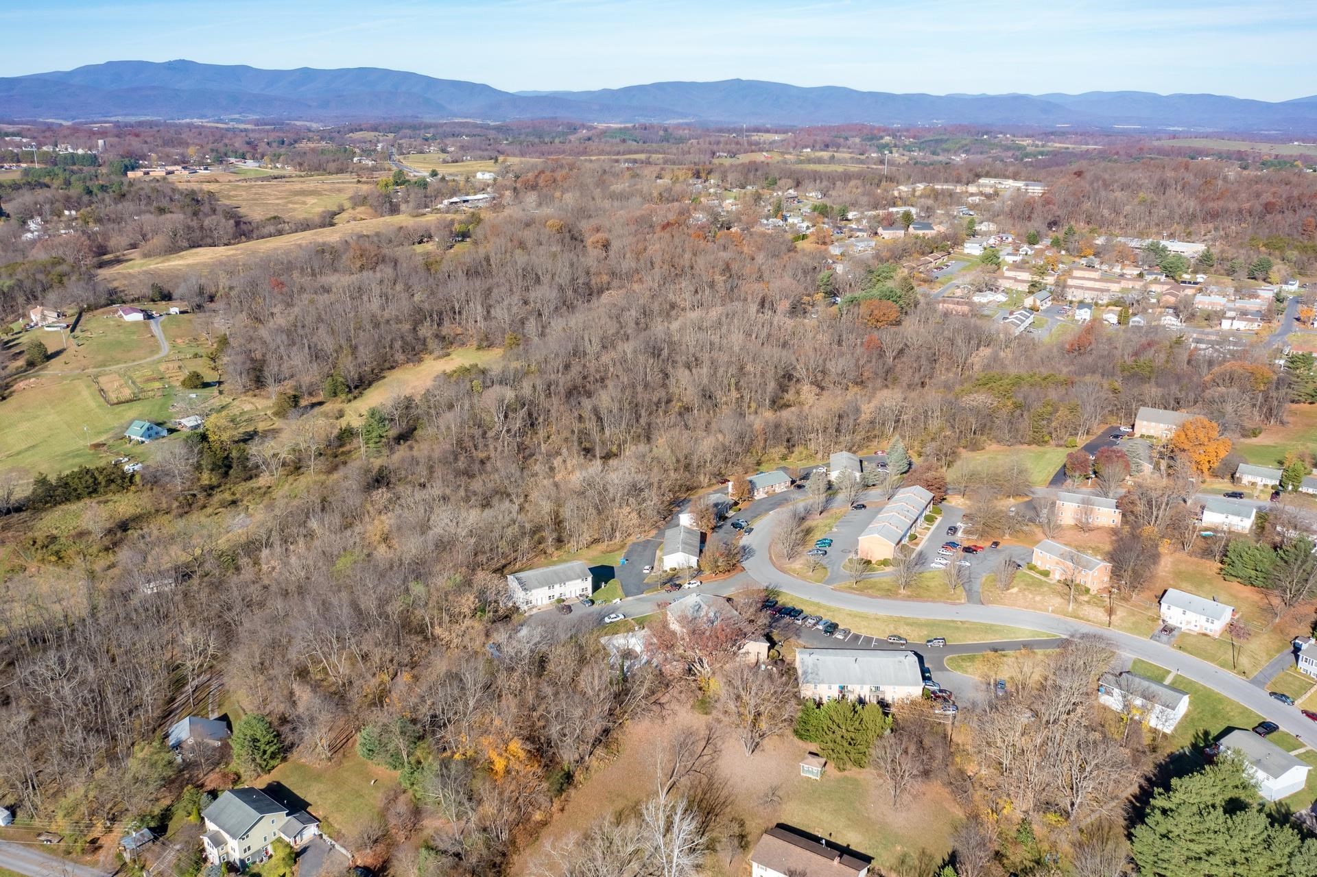 2409 Bare Street Staunton, VA 24401 - Photo 7 of 8 a view of city and mountain