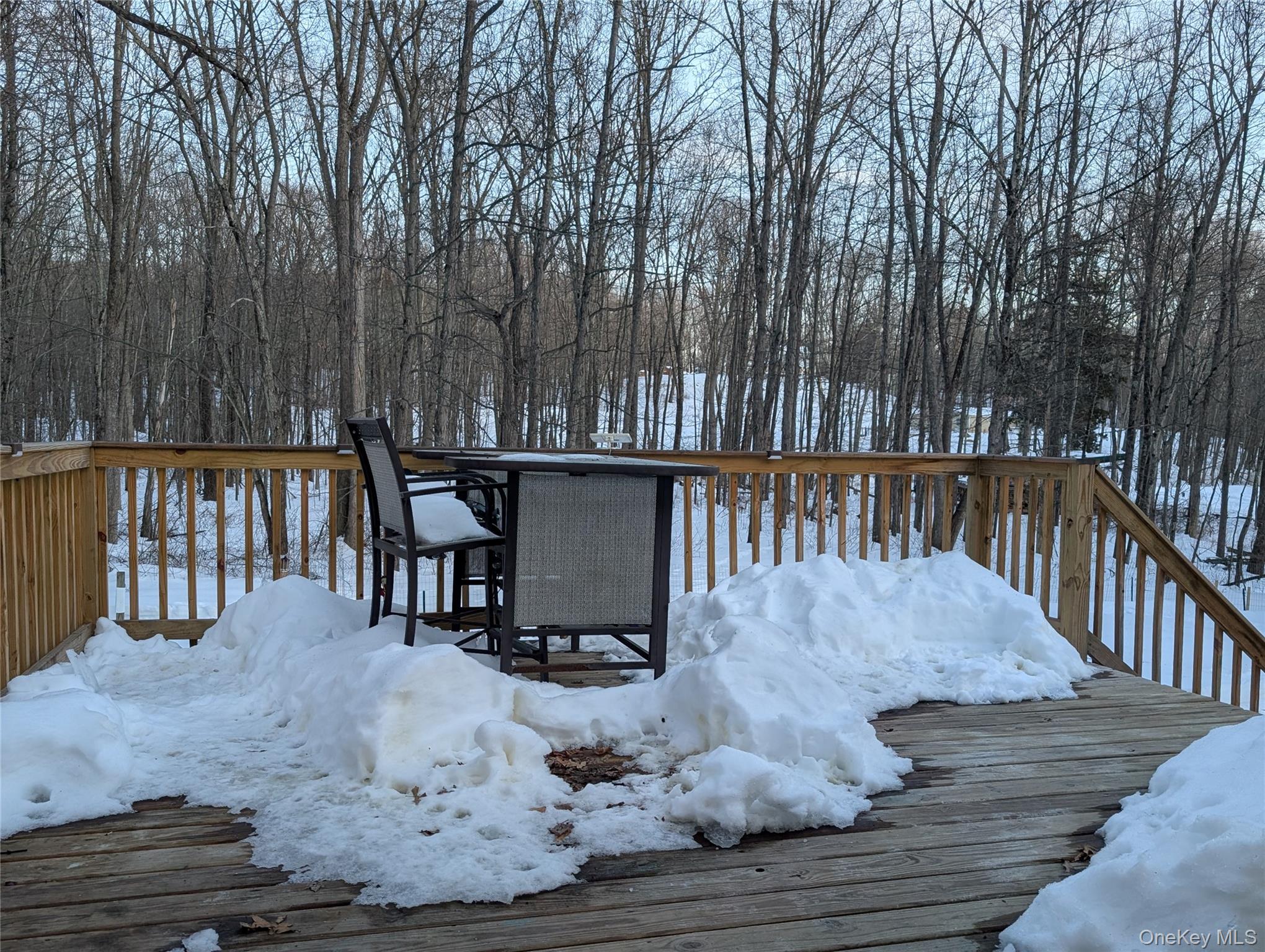 1407 Highway 208 Wallkill, NY 12589 - Photo 32 of 42 Back Deck