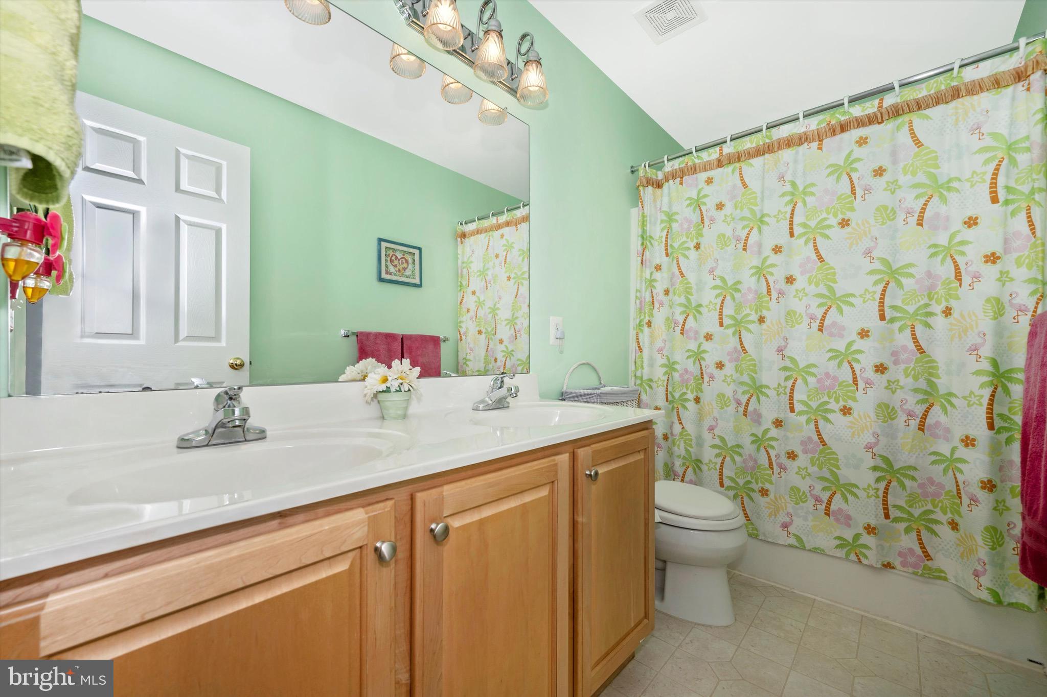 5897 Union Ridge Drive Adamstown, MD 21710 - Photo 29 of 60 Bathroom 2