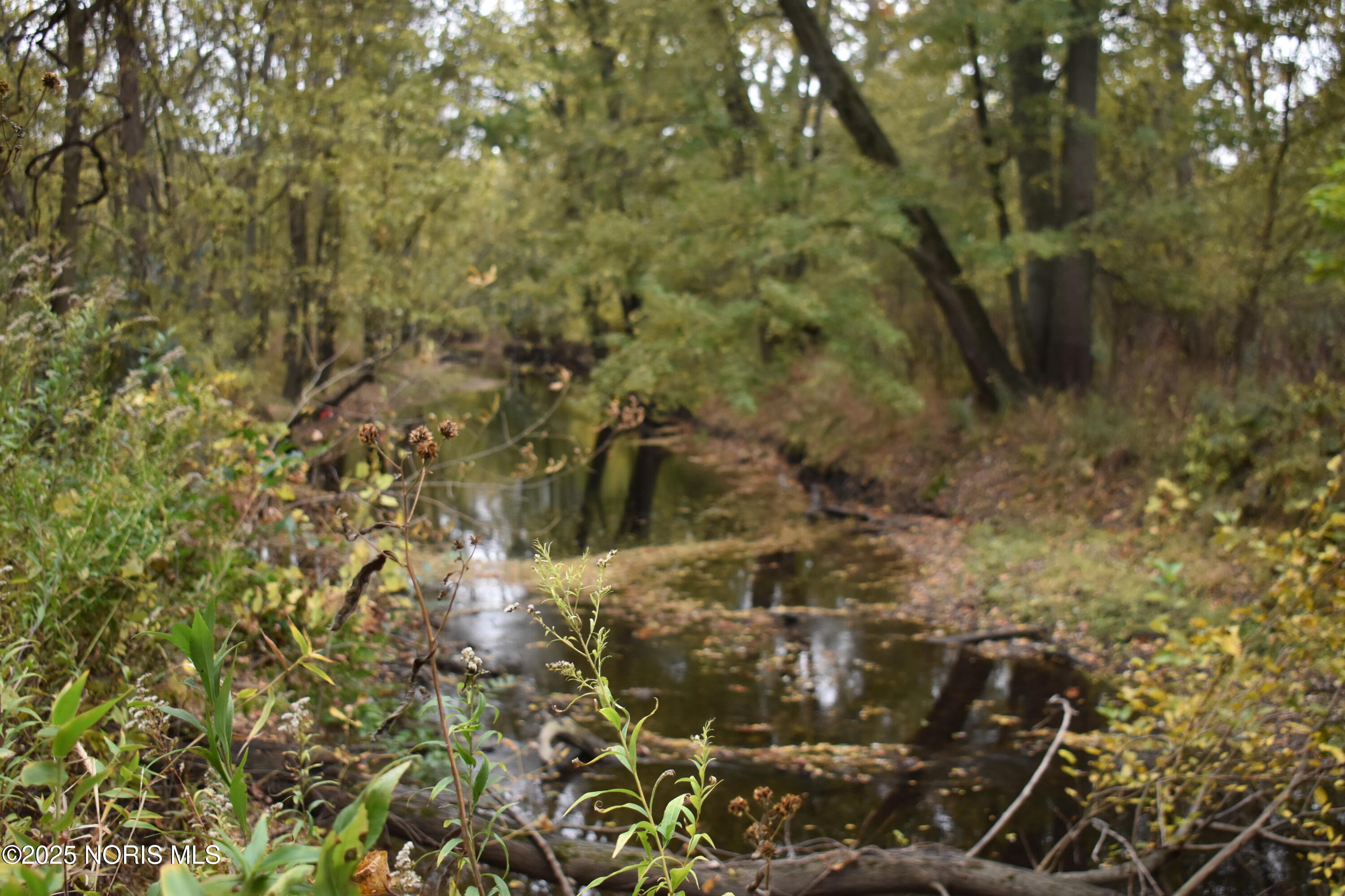 9340 Stitt Road Whitehouse, OH 43571 - Photo 29 of 50 November 20 RE (28)