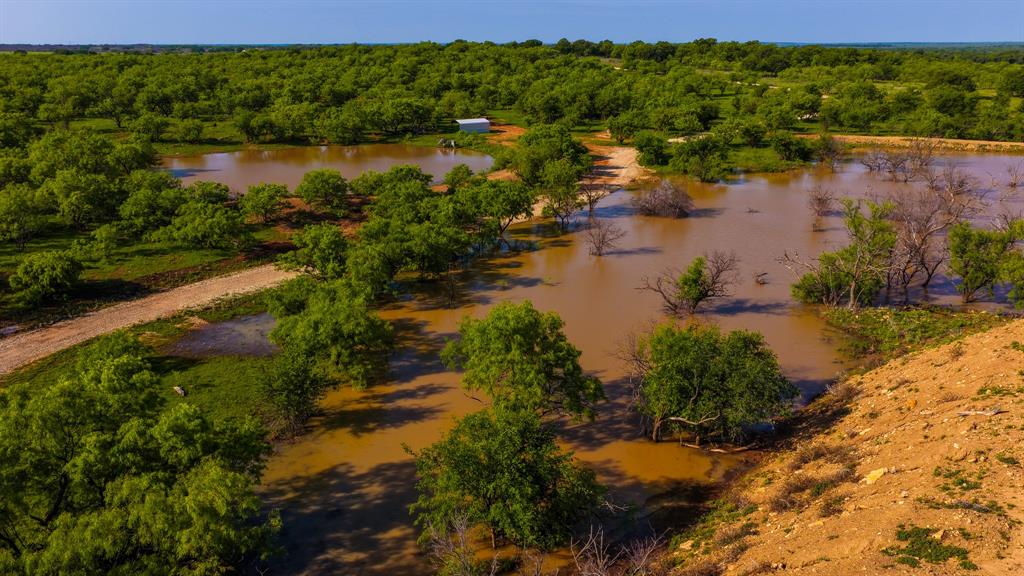 10000 Fm 209 Graham, TX 76450 - Photo 24 of 40