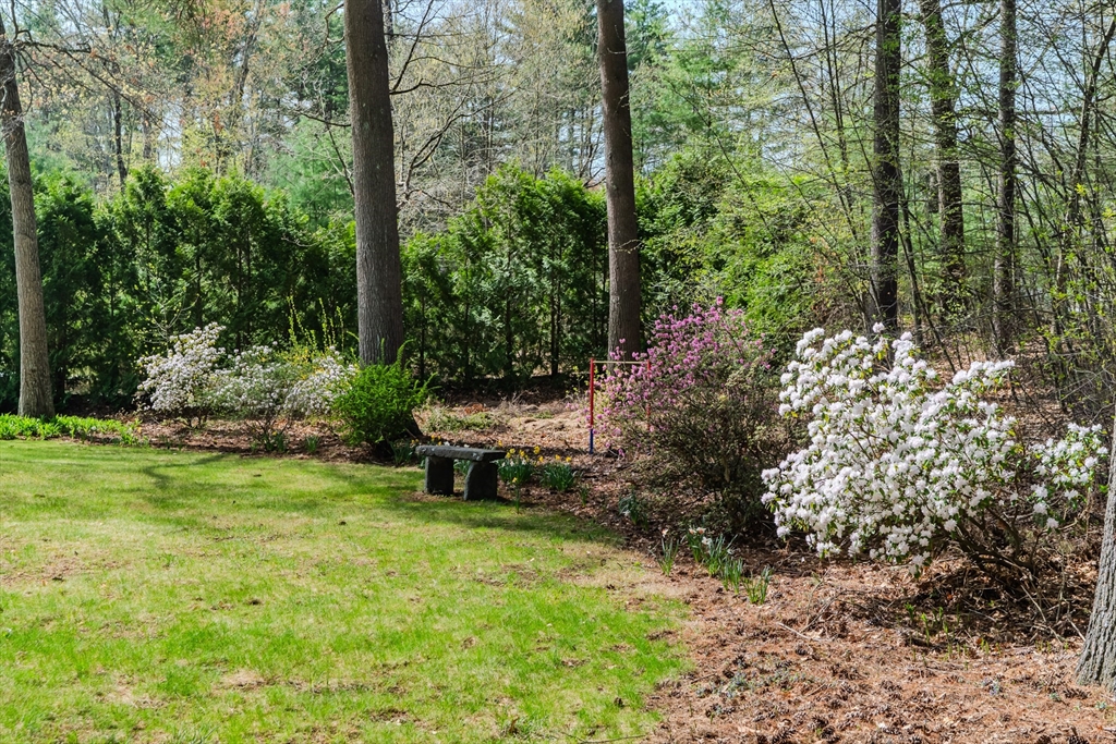 21 Shattuck Road Hadley, MA 01035 - Photo 7 of 42 a view of a backyard with a bench and some trees