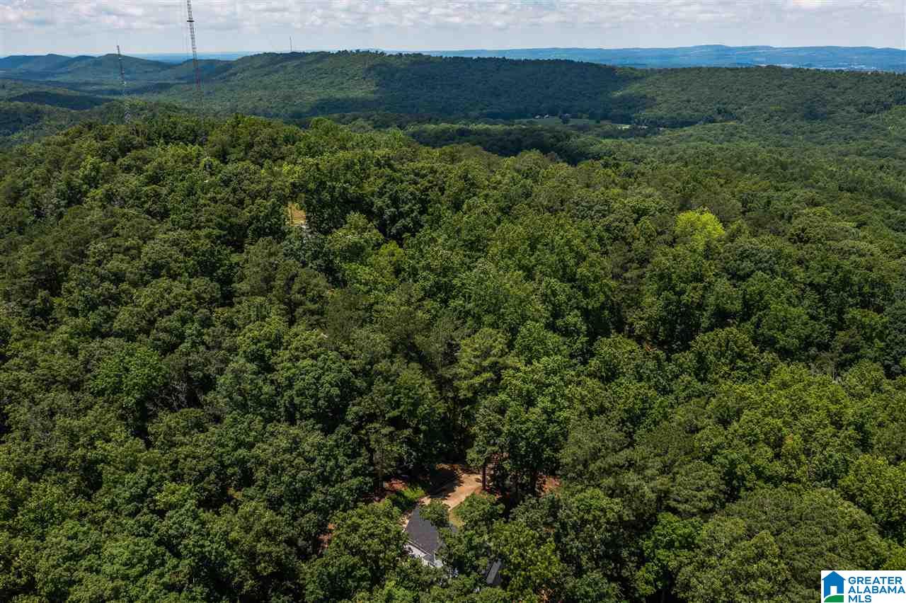 185 Mountain Drive Oneonta, AL 35121 - Photo 49 of 50