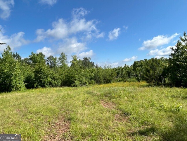 0 Silas Mercer Road Northeast Crawfordville, GA 30631 - Photo 8 of 12