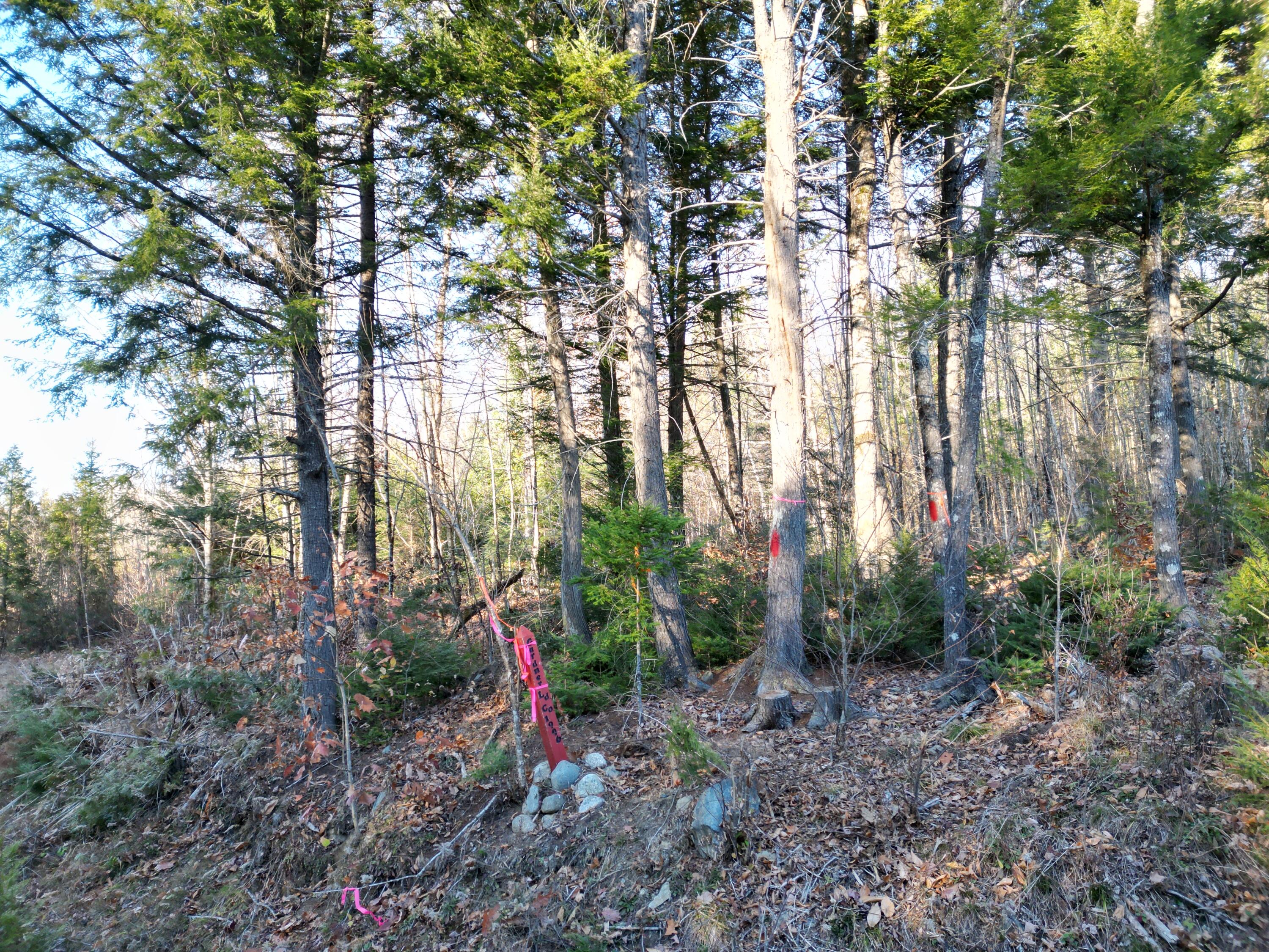 Lot 11 Ghost Road Springfield, ME 04487 - Photo 5 of 10 DJI_0933