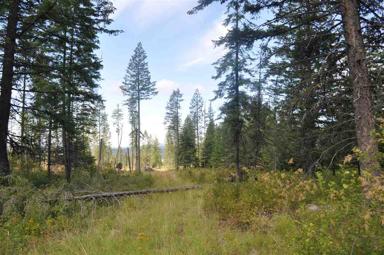 Parcel D Regal Road Elk, WA 99009 - Photo 1 of 8