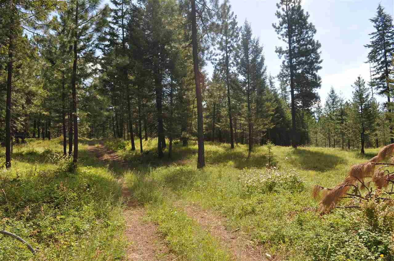 Parcel D Regal Road Elk, WA 99009 - Photo 4 of 8