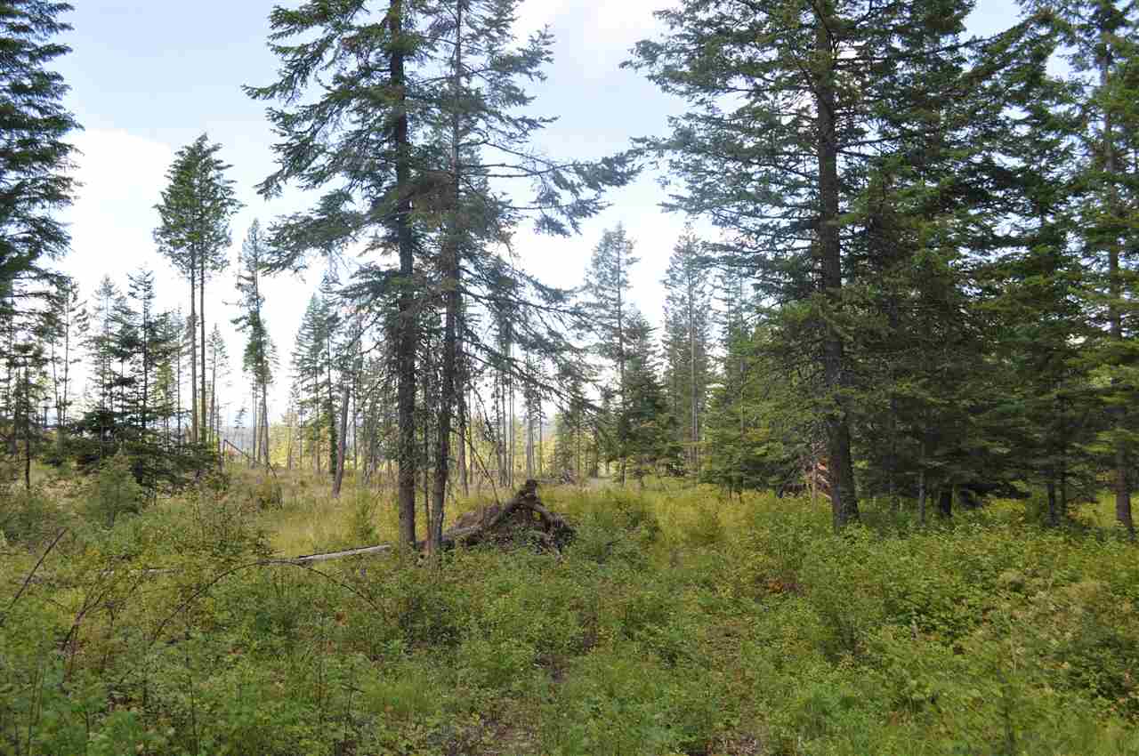 Parcel D Regal Road Elk, WA 99009 - Photo 5 of 8
