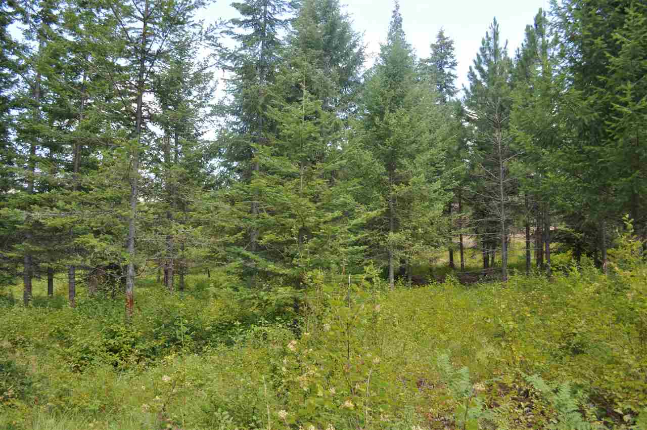 Parcel D Regal Road Elk, WA 99009 - Photo 6 of 8