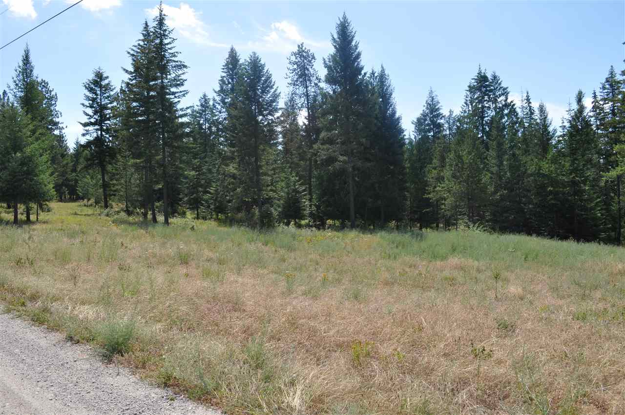 Parcel D Regal Road Elk, WA 99009 - Photo 8 of 8