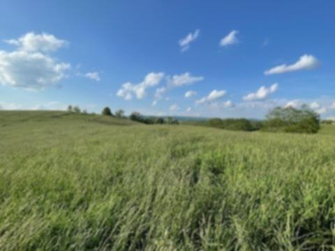 1366 Spring Valley Road Marion, VA 24354 - Photo 2 of 21 Gallery Image 2