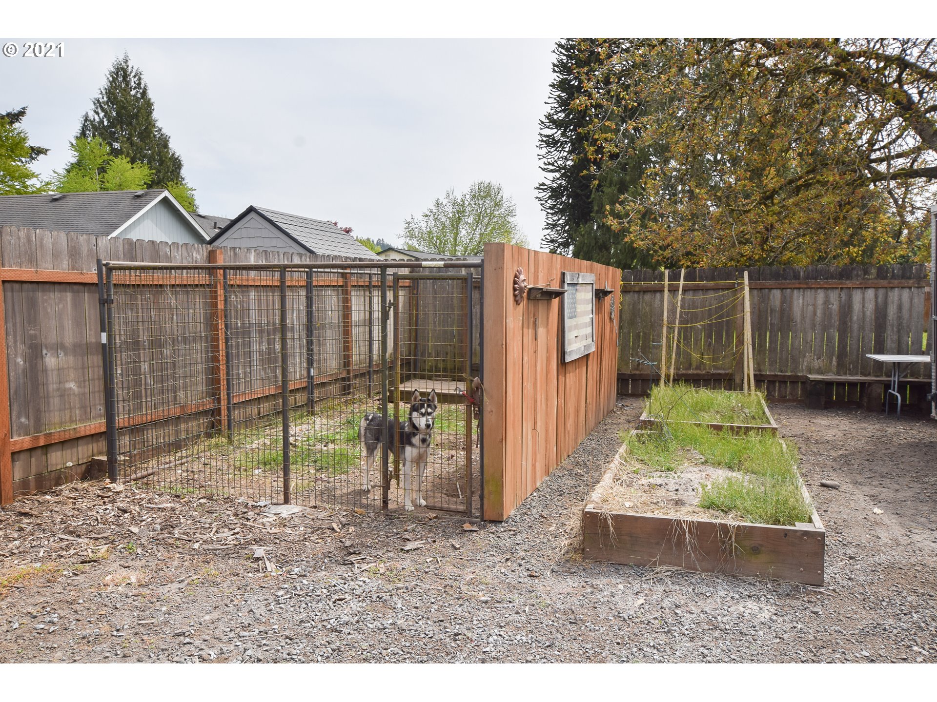 905 54th Street Springfield, OR 97478 - Photo 7 of 28