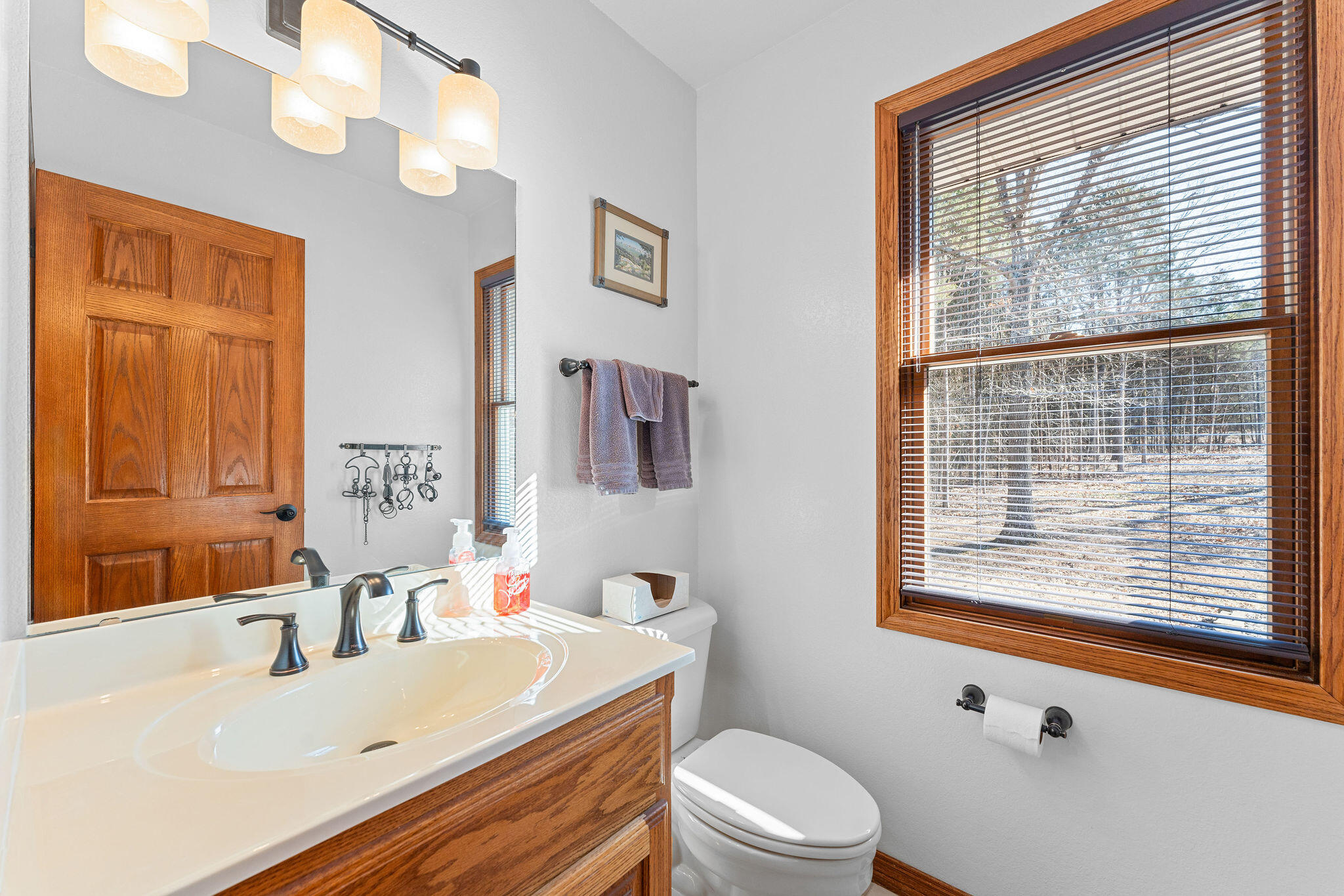230 Temple Lane Shell Knob, MO 65747 - Photo 29 of 60 Bathroom