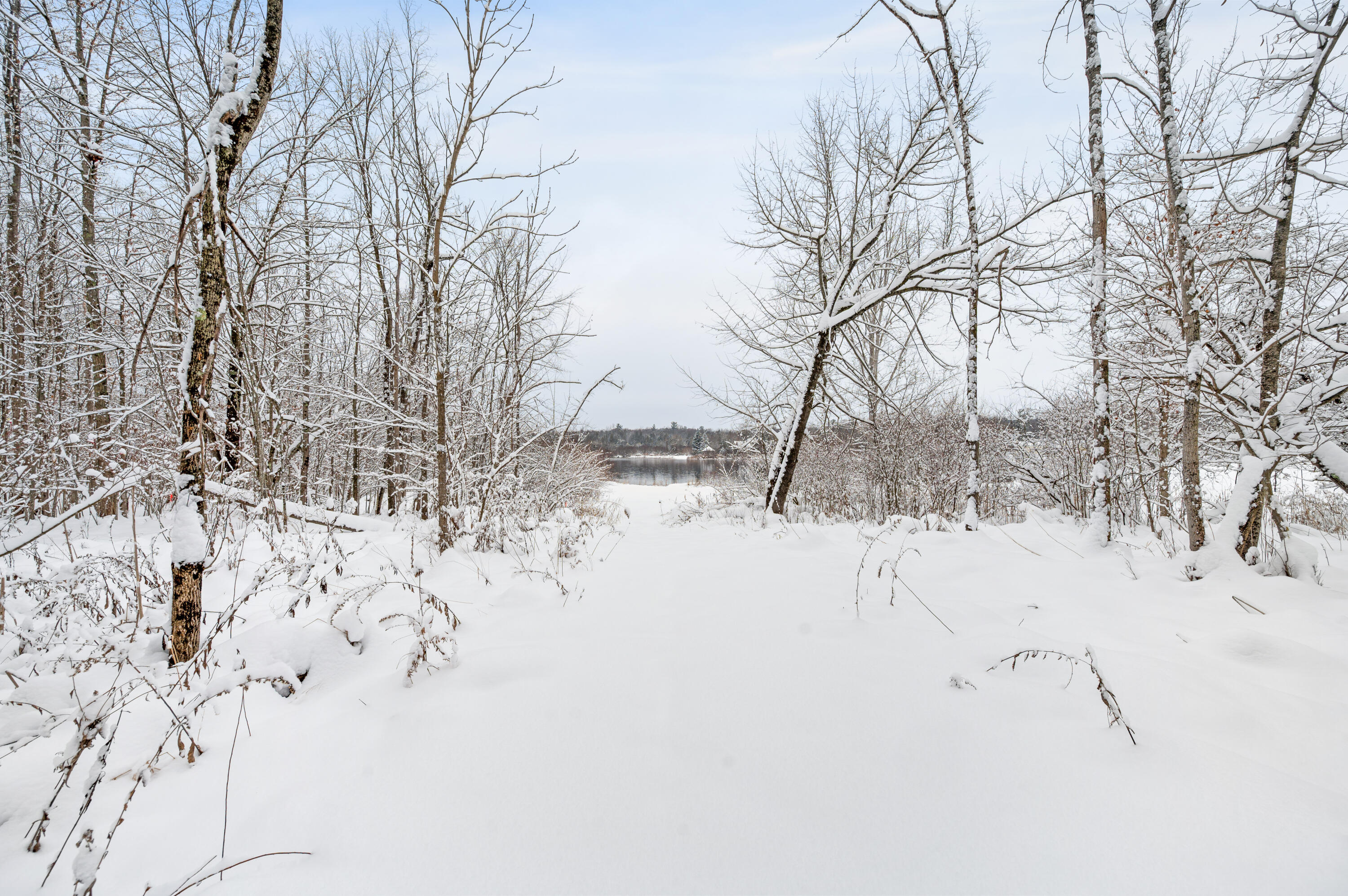 9586 Lure Road Hesperia, MI 49421 - Photo 38 of 51 9586-LureRd-Hesperia-34