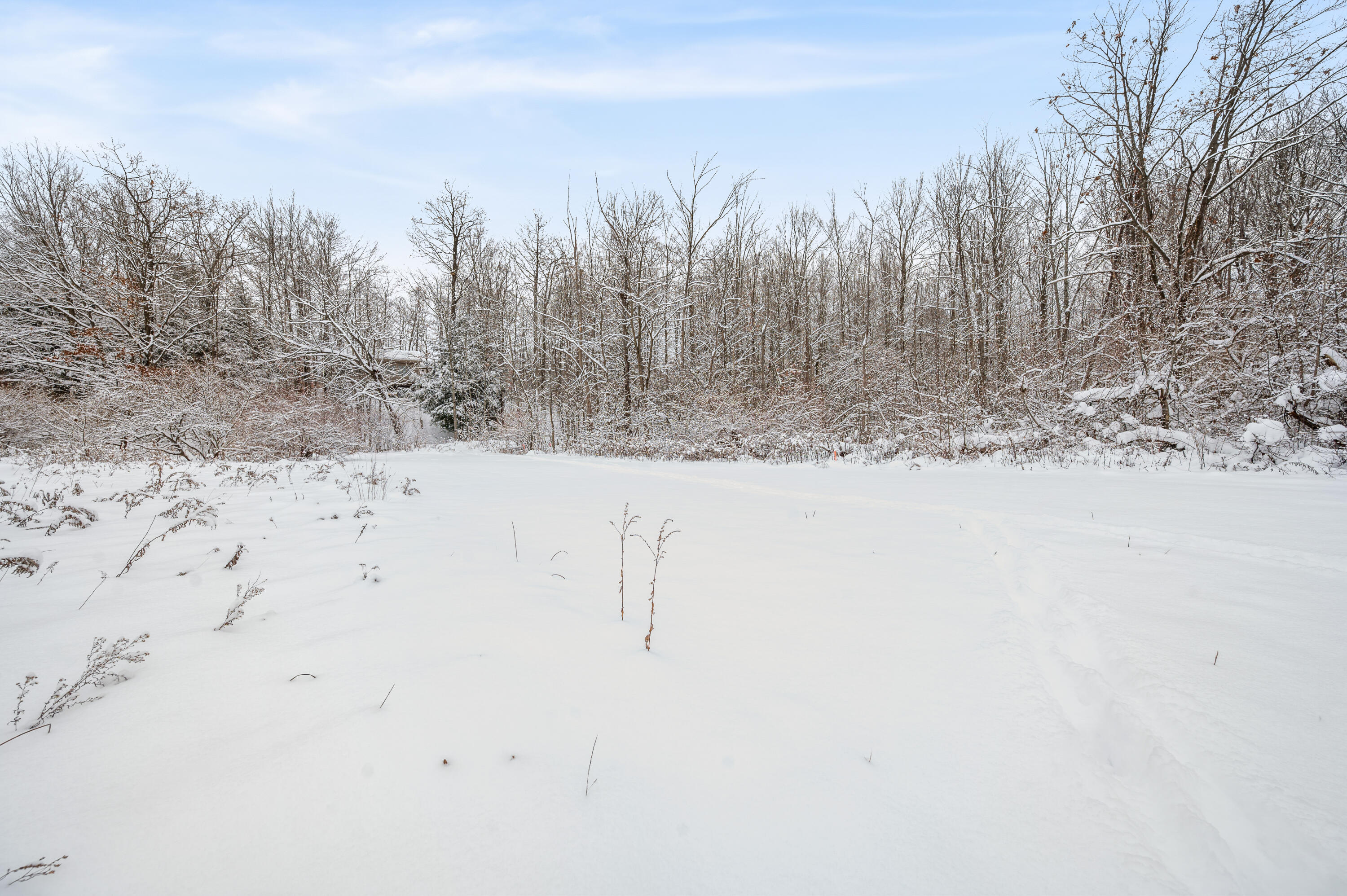 9586 Lure Road Hesperia, MI 49421 - Photo 41 of 51 9586-LureRd-Hesperia-38