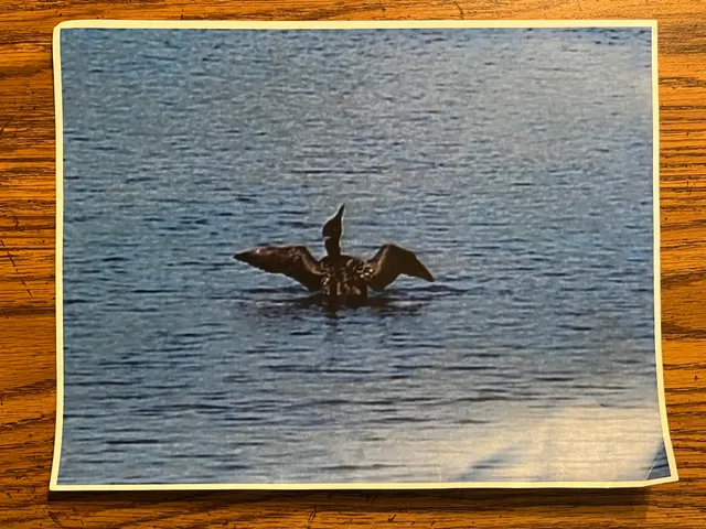 $405,000 | 9586 Lure Road, Hesperia, MI 49421