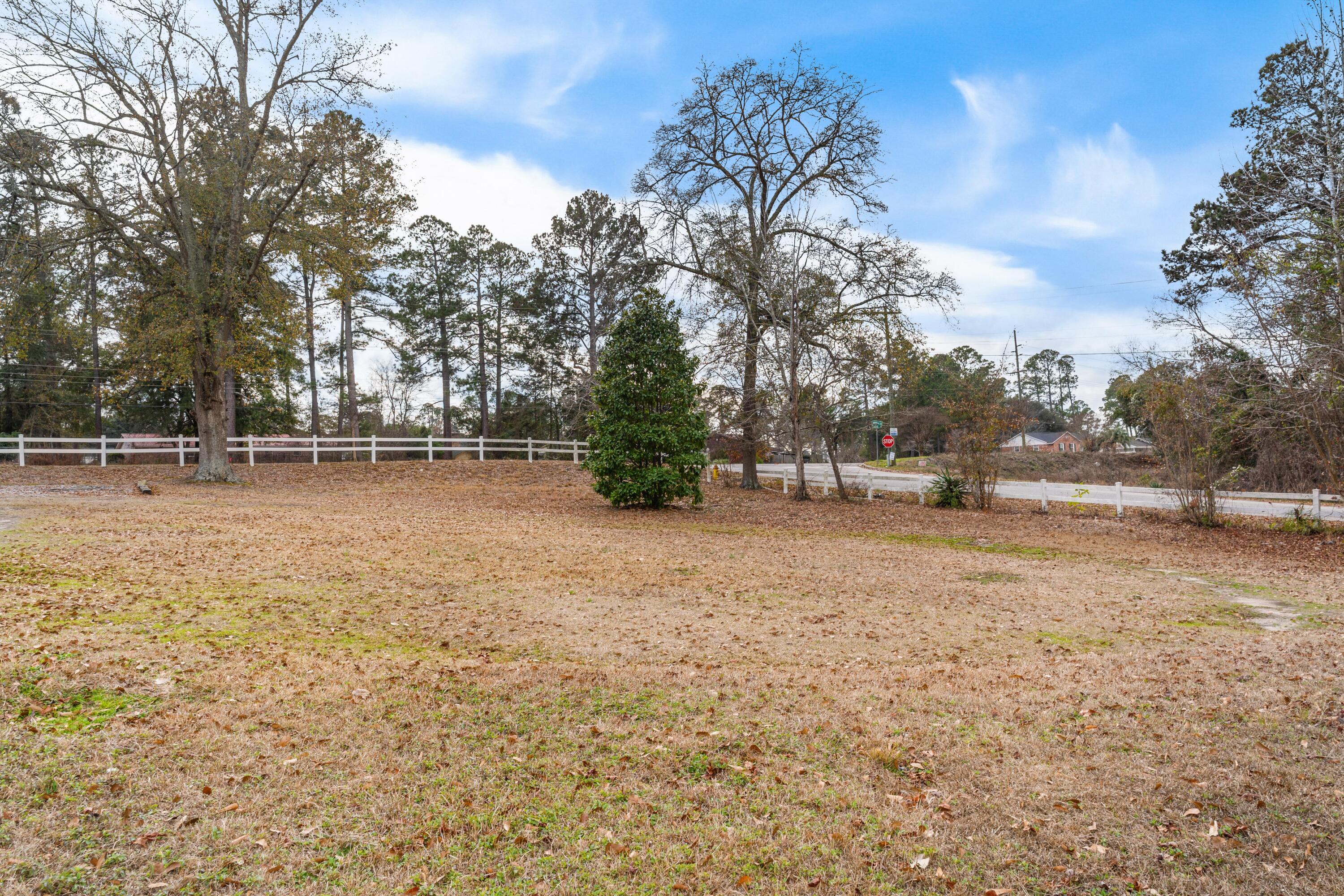 1856 Chestnut Street Orangeburg, SC 29118 - Photo 31 of 33 DSC05023_
