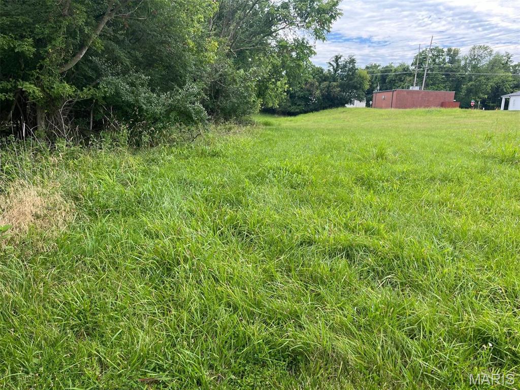 2550 Pond Road Grover, MO 63040 - Photo 3 of 6