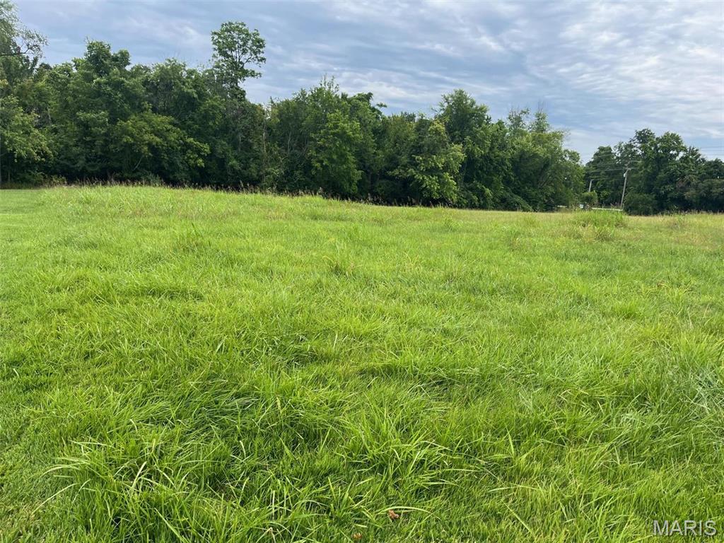 2550 Pond Road Grover, MO 63040 - Photo 5 of 6