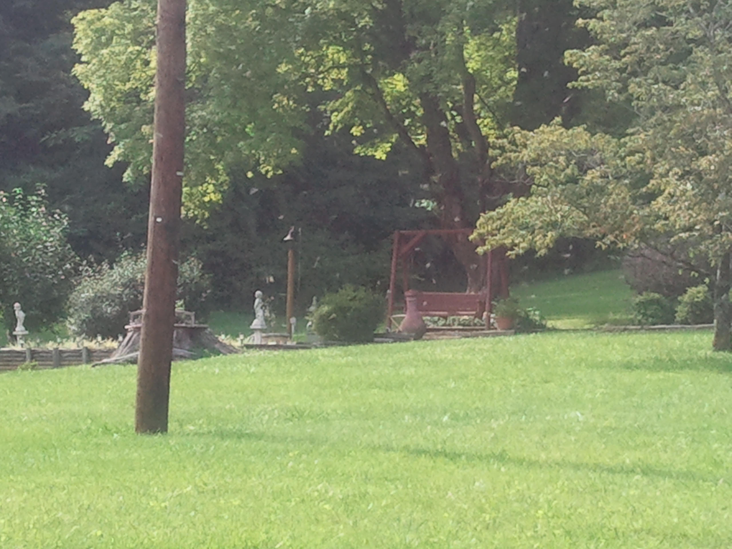 905 Deaderick Road Knoxville, TN 37920 - Photo 2 of 3 2014-07-22 17