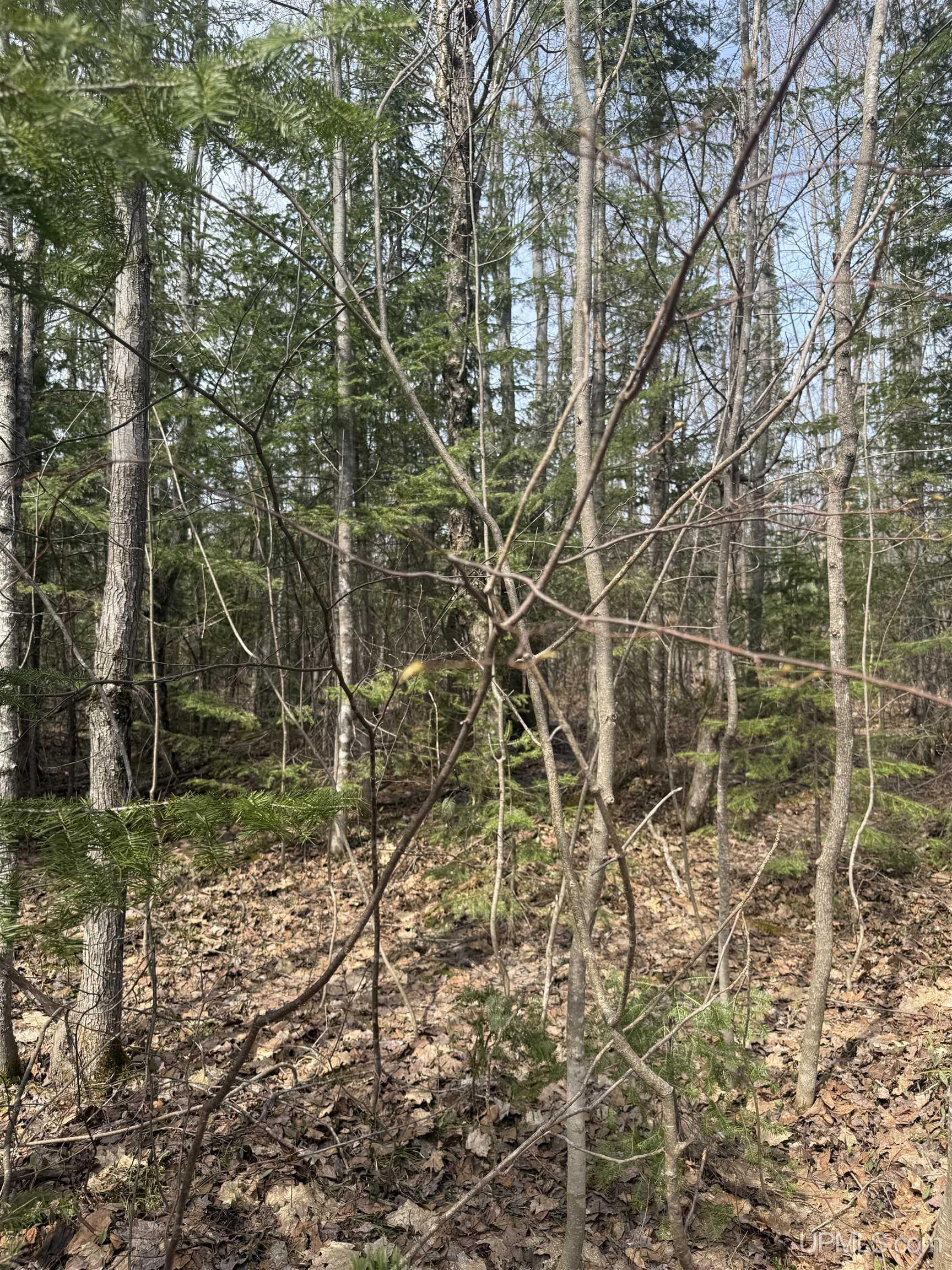 4-10 Firesteel Road Ontonagon, MI 49953 - Photo 2 of 28