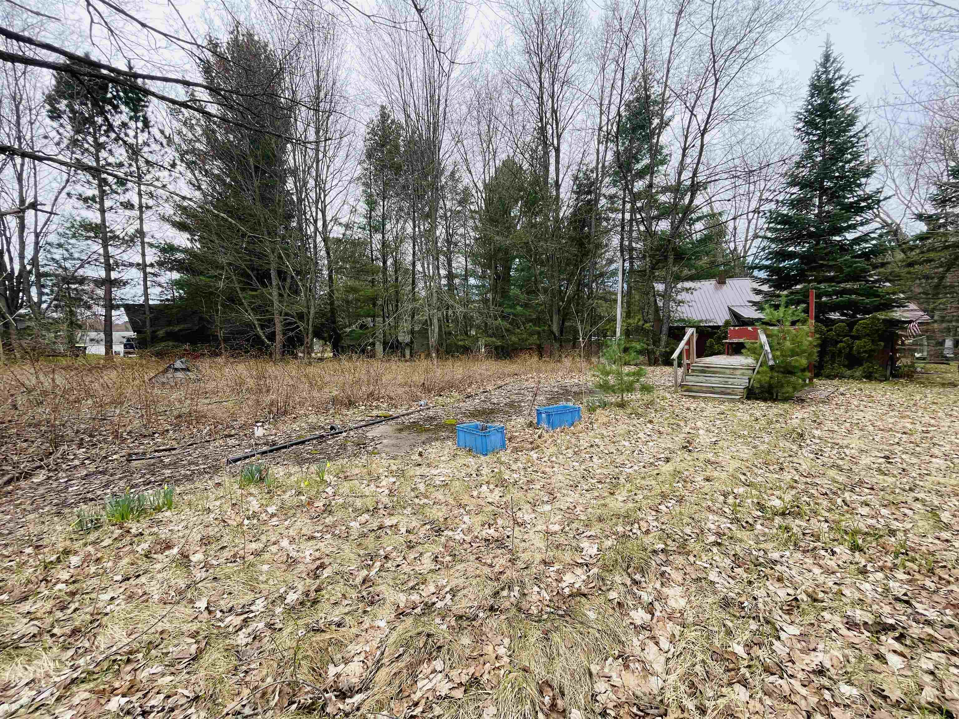 620 Elkhorn Drive Cadillac, MI 49601 - Photo 5 of 7 Gallery Image 5