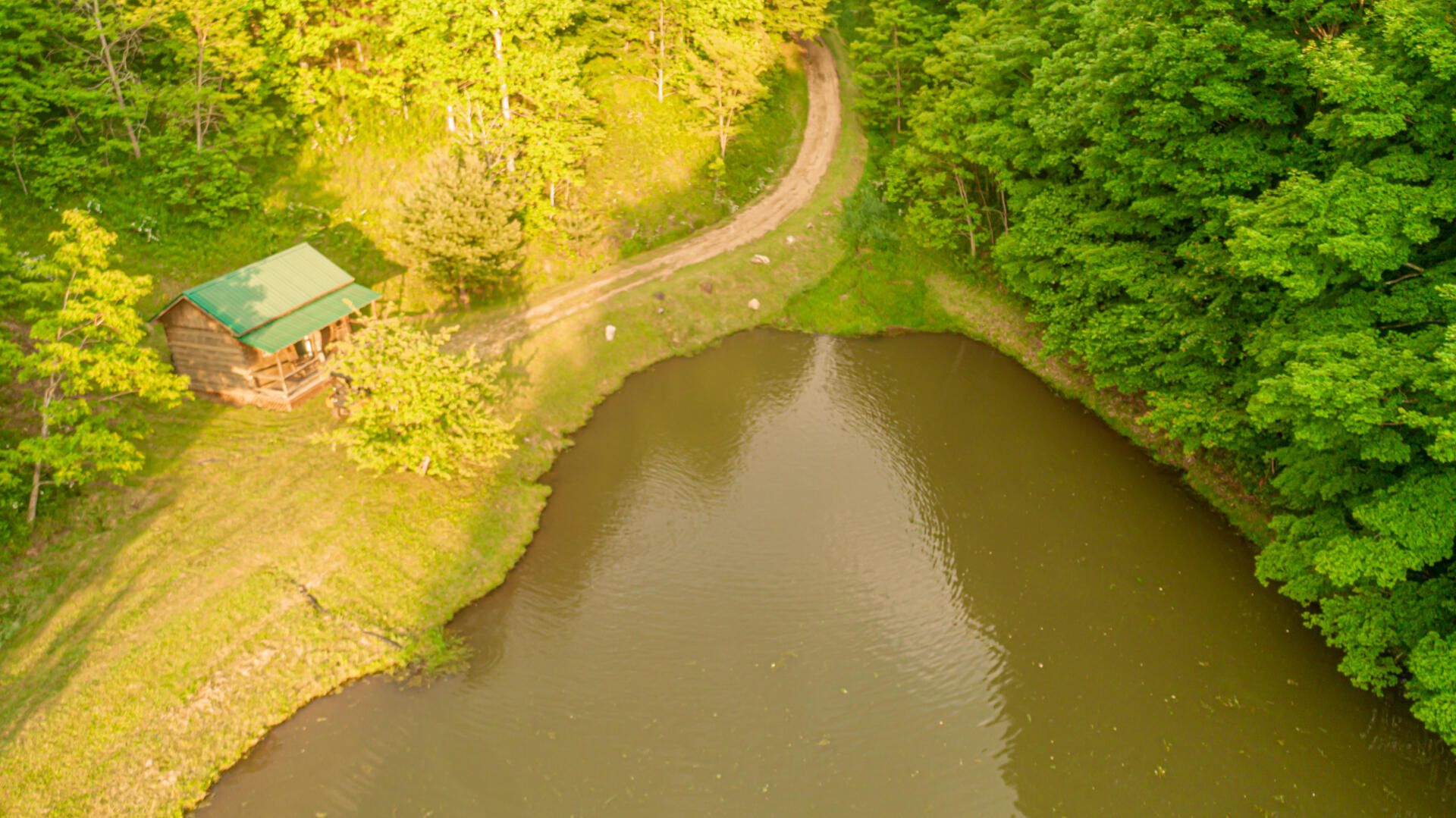1051 Modock Road Trade, TN 37691 - Photo 4 of 24 Modock Drone Trout Pond 2
