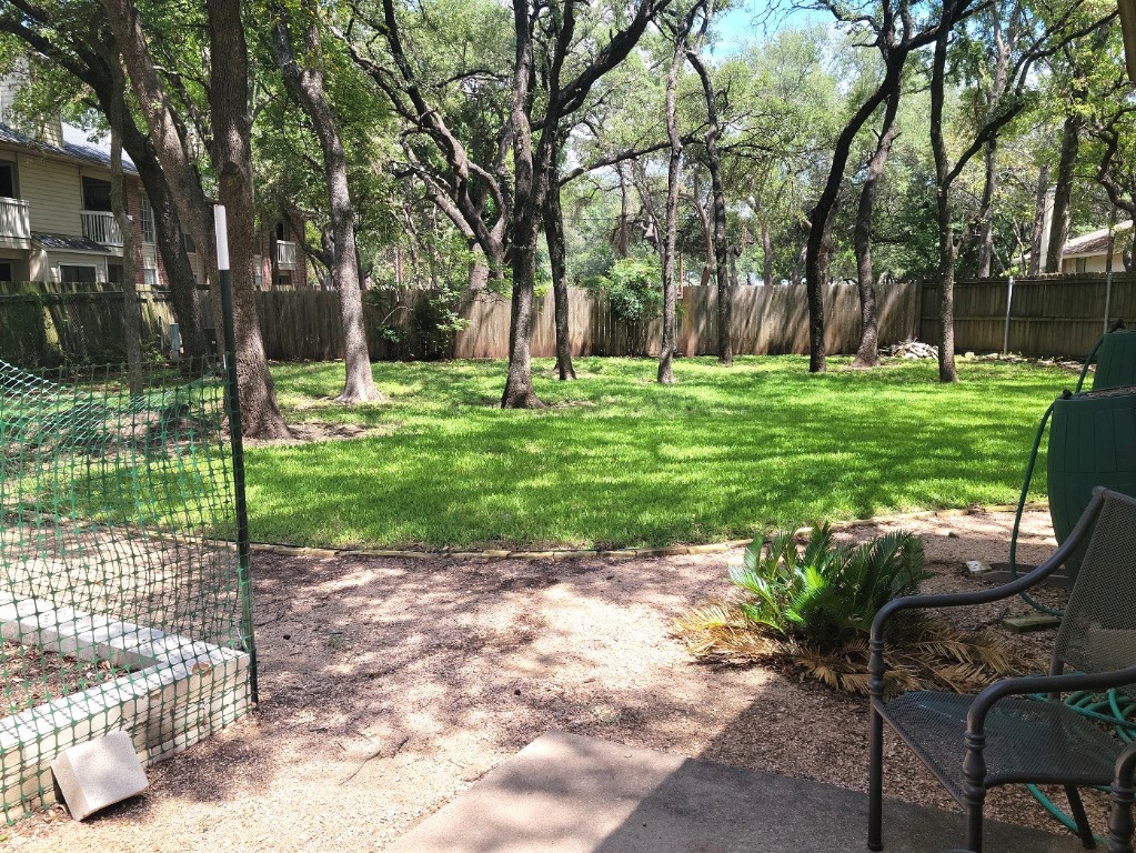 6904 Argonne Forest Cove, Unit A Austin, TX 78759 - Photo 19 of 25 a view of backyard with tree