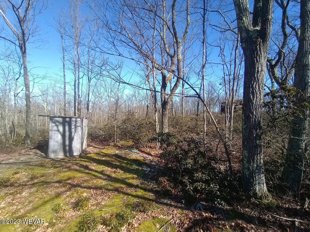 Sugar Camp Road Howard, PA 16841 - Photo 1 of 4 Gallery Image 1