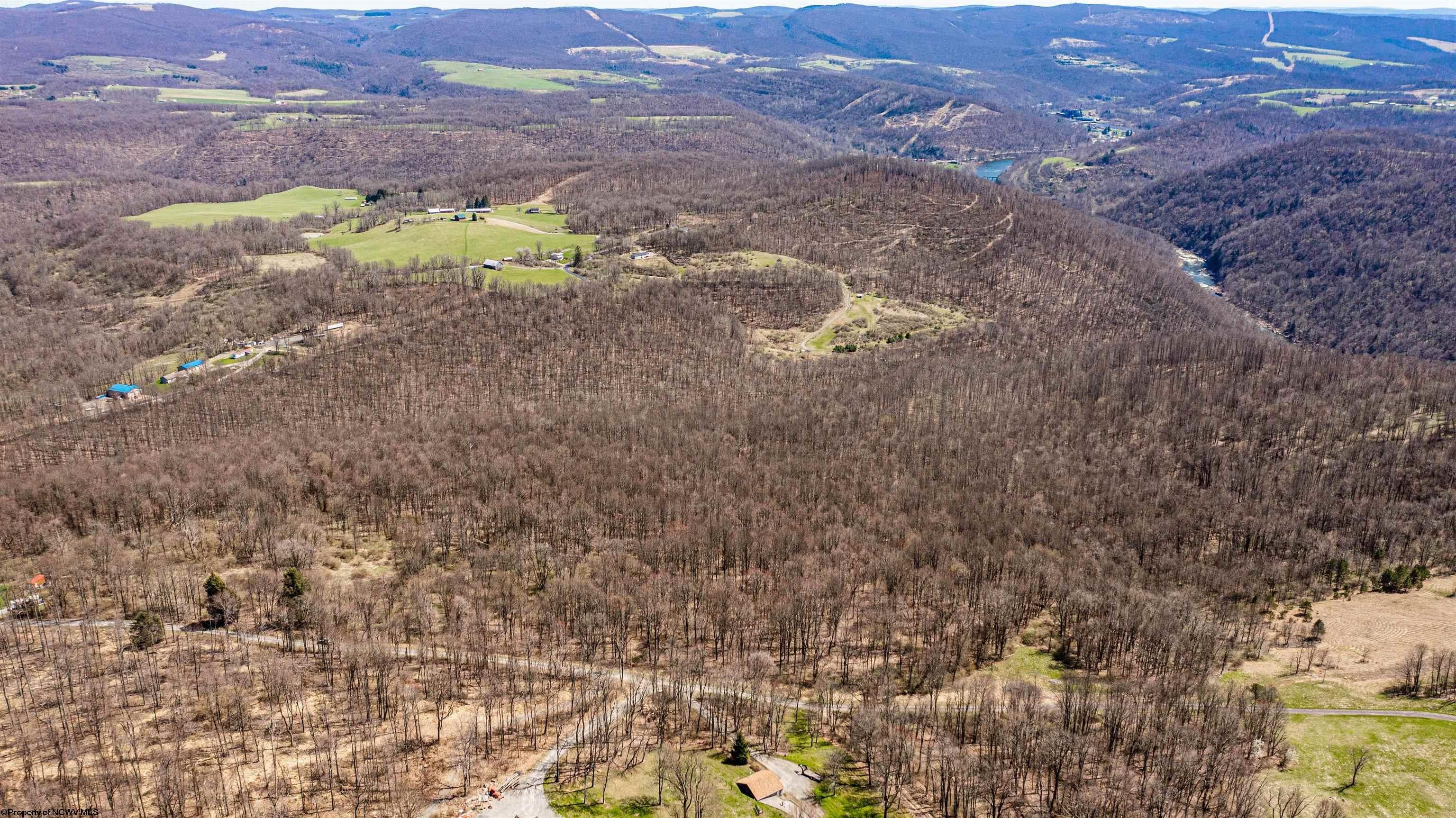 0 Bear Ridge Albright, WV 26519 - Photo 10 of 11 Gallery Image 10