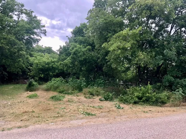 a view of a dirt road with trees in the background