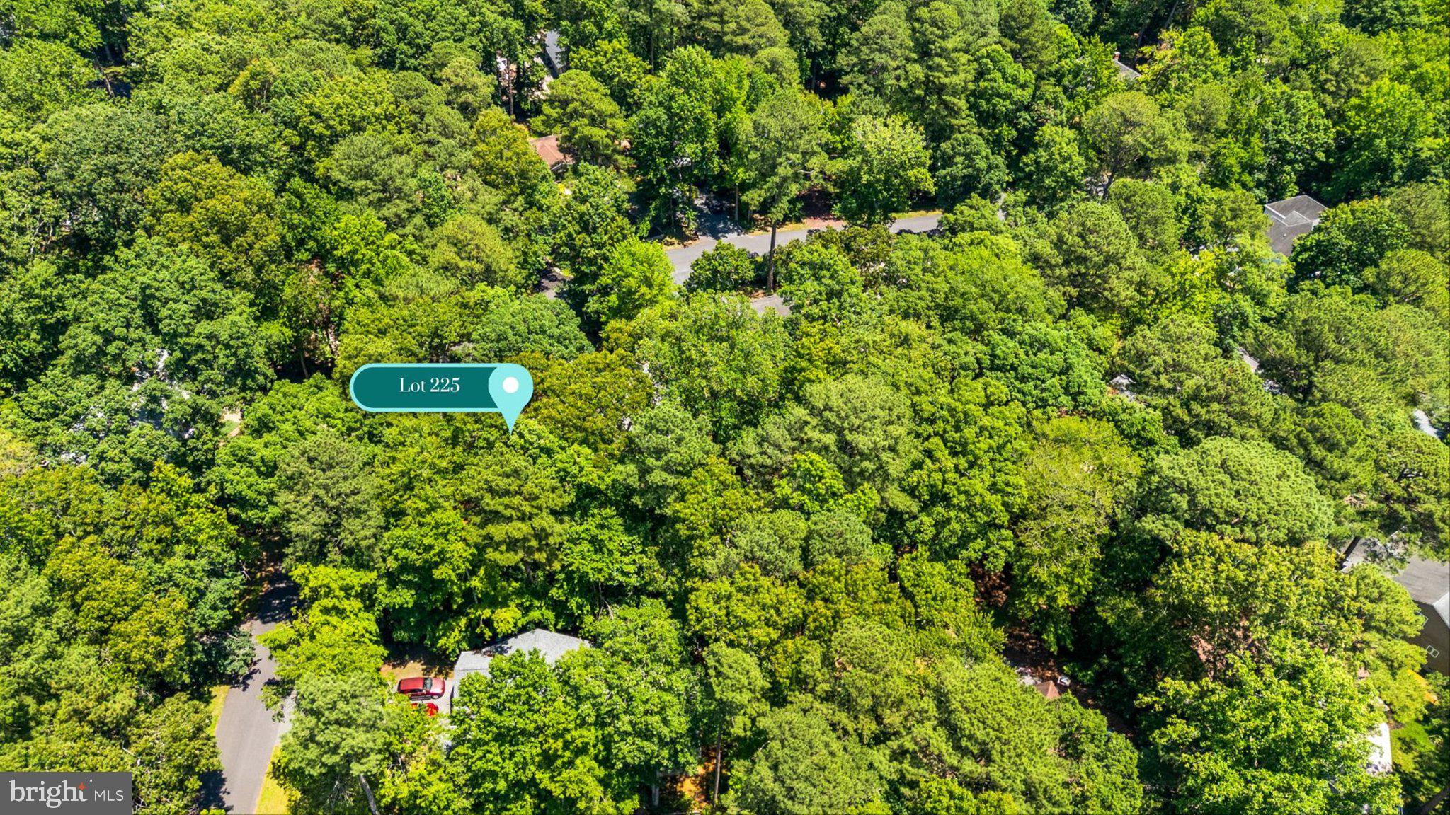 12 Moonraker Road Ocean Pines, MD 21811 - Photo 5 of 17 Serene wooded lot awaits your vision.
