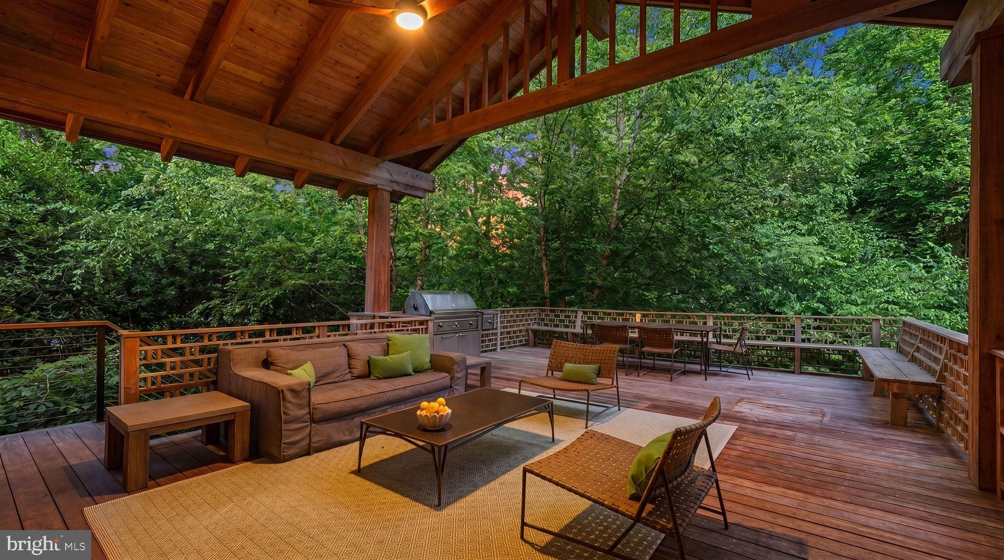 2155 Dunmore Lane Washington, DC 20007 - Photo 64 of 65