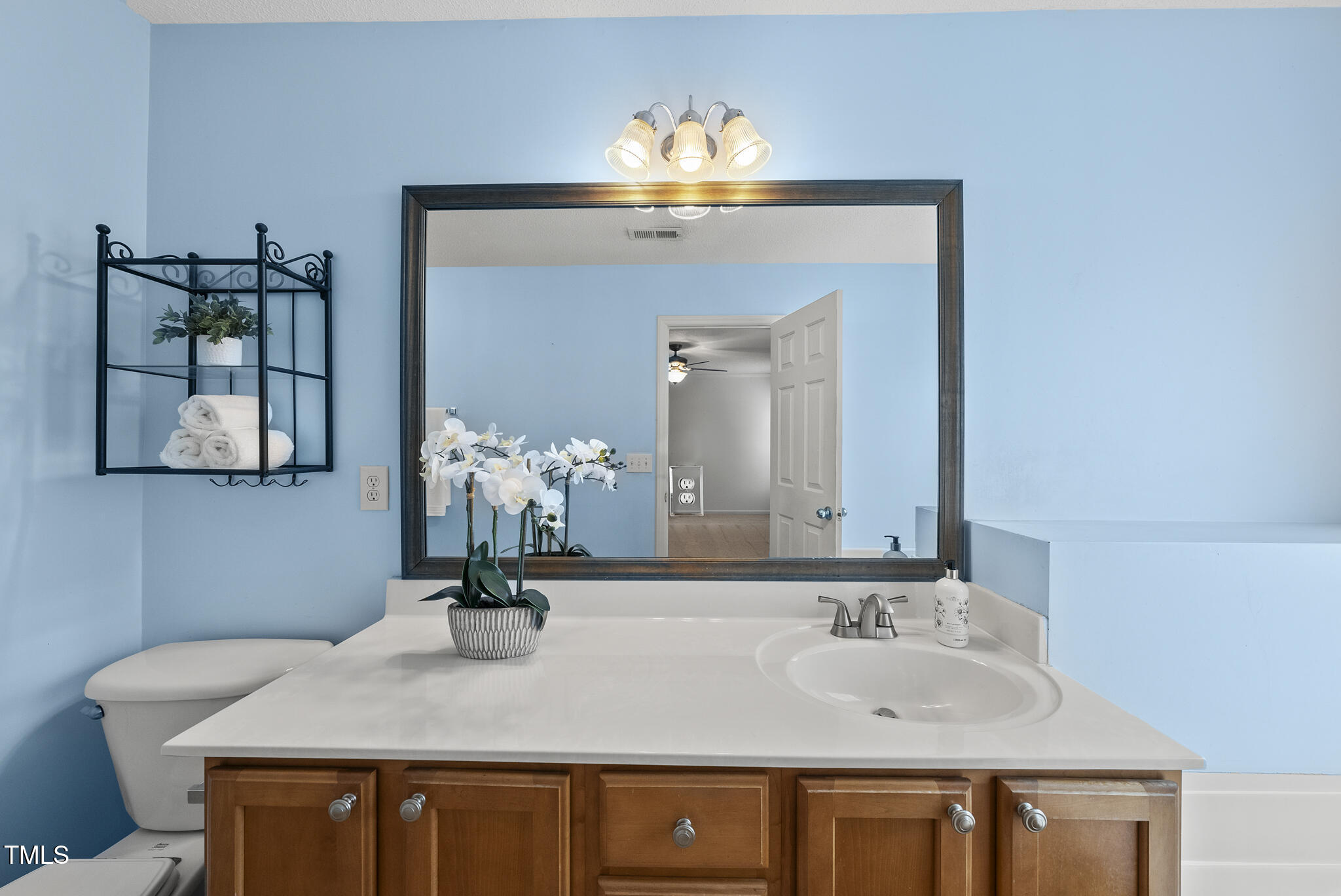 12501 Garden Tree Lane Raleigh, NC 27614 - Photo 13 of 32 DSC08627