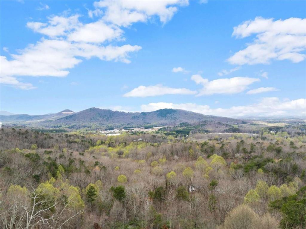 777 Oak Pointe Drive Cleveland, GA 30528 - Photo 16 of 63 a view of a forest with mountains in the background