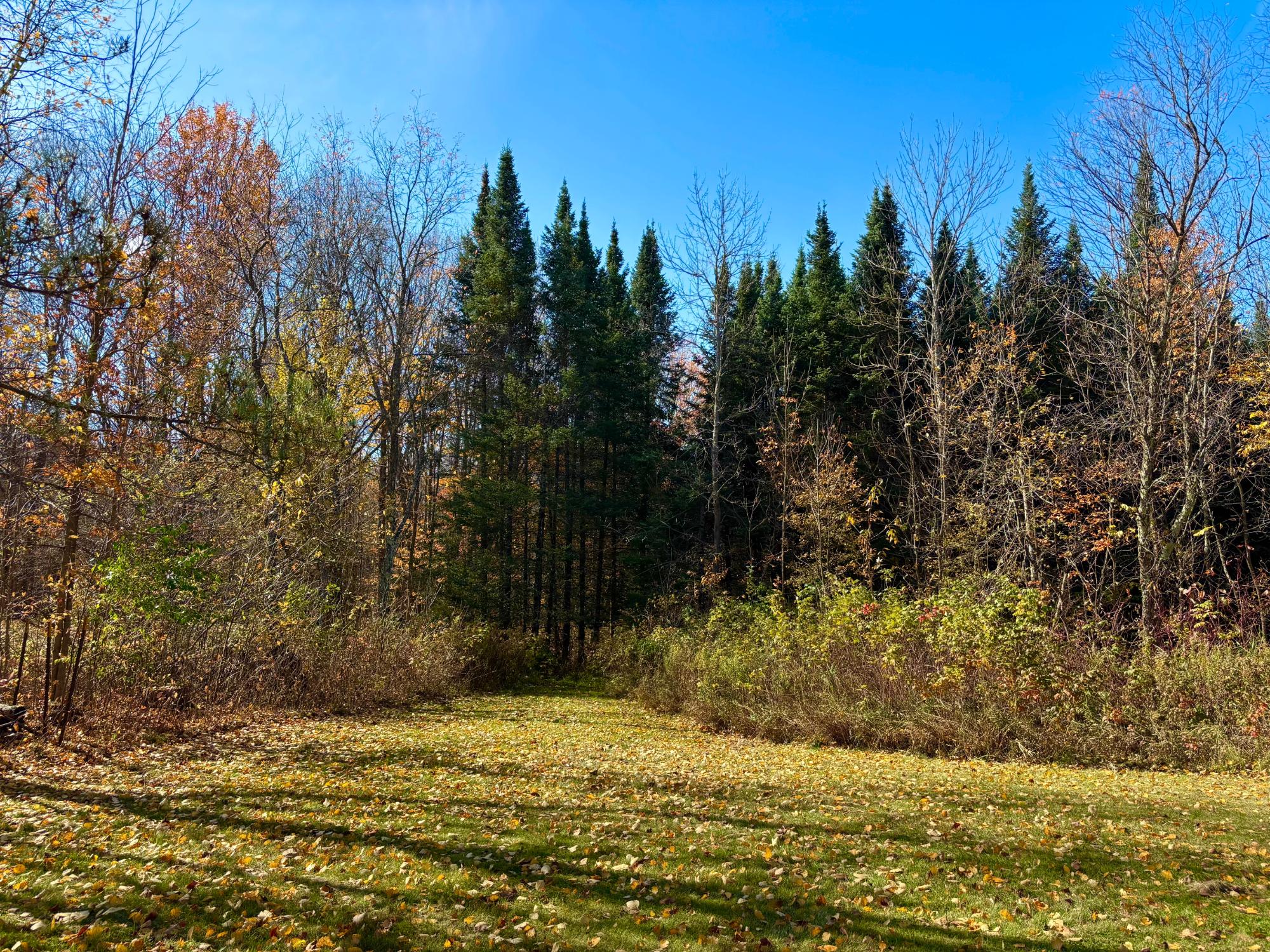 N6441 Lindow Road Prentice, WI 54556 - Photo 7 of 46 Gallery Image 7
