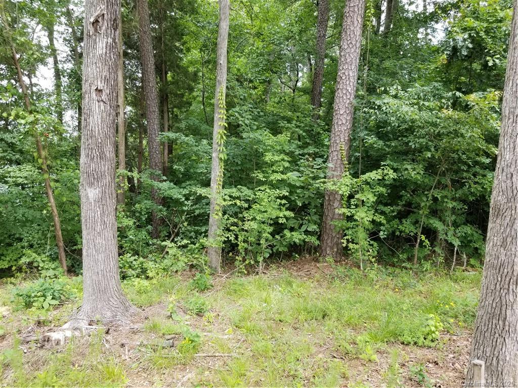 395 Sunset Pointe Drive, Unit 13 Salisbury, NC 28146 - Photo 10 of 20