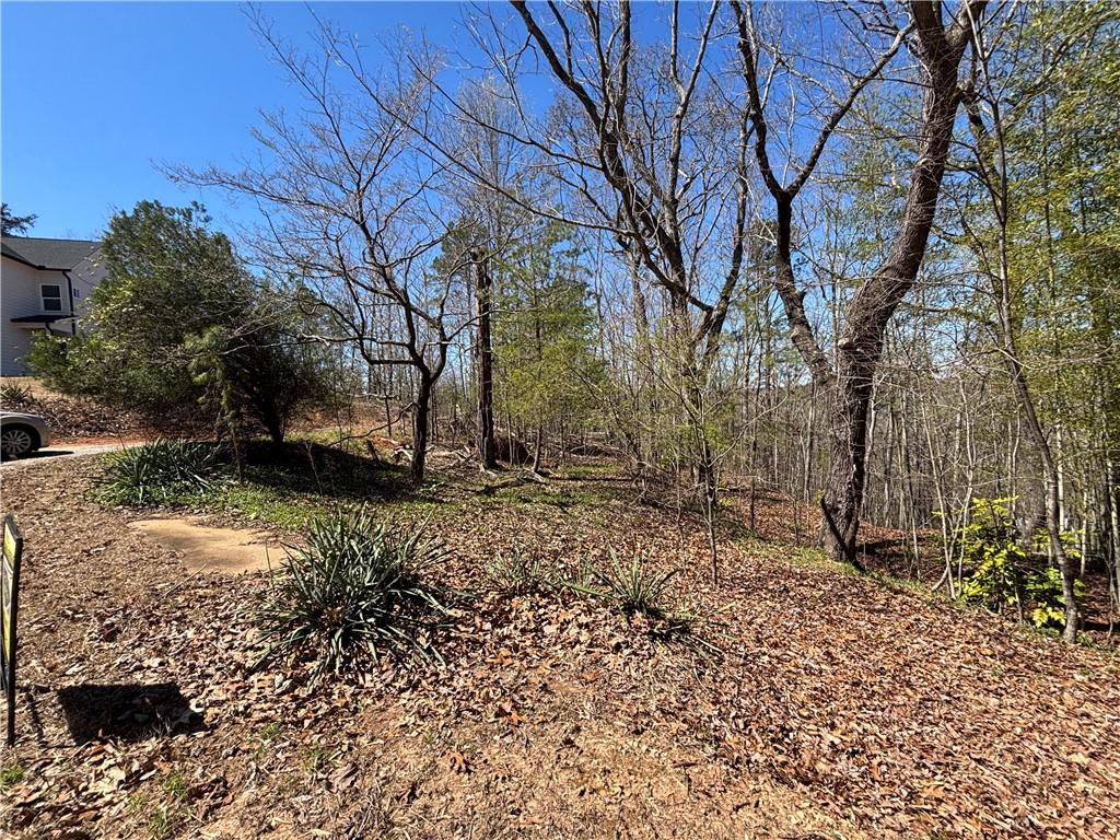 3615 Tower Way Gainesville, GA 30501 - Photo 3 of 4 a backyard of a house with lots of green space