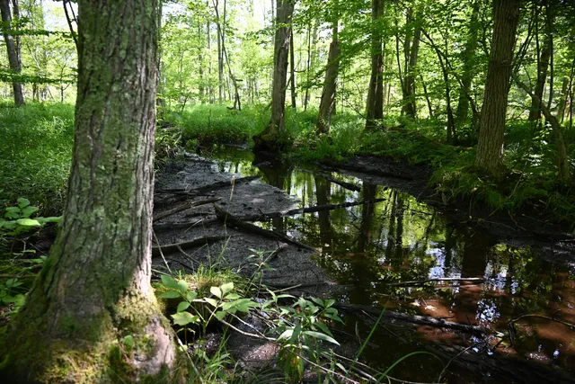 $363,000 | 0 East 36th Street, Newaygo, MI 49337