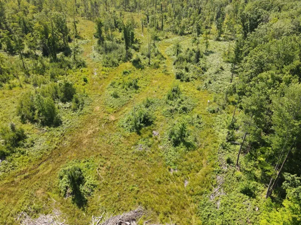 $363,000 | 0 East 36th Street, Newaygo, MI 49337