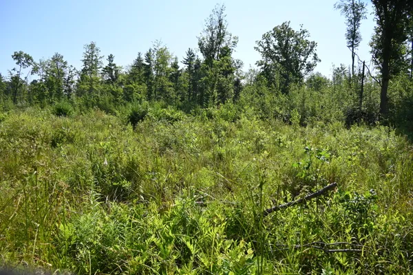 $363,000 | 0 East 36th Street, Newaygo, MI 49337