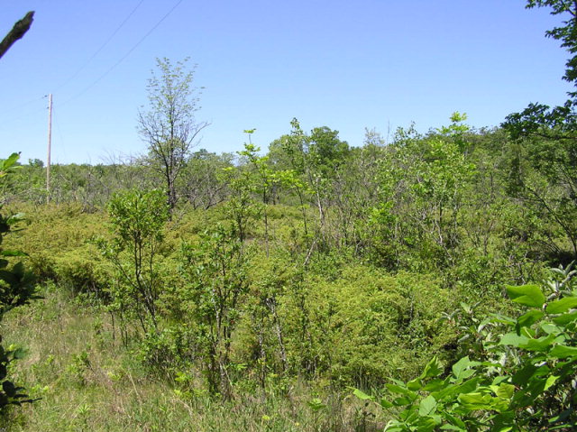Indian Point Road Washington Island, WI 54246 - Photo 1 of 1