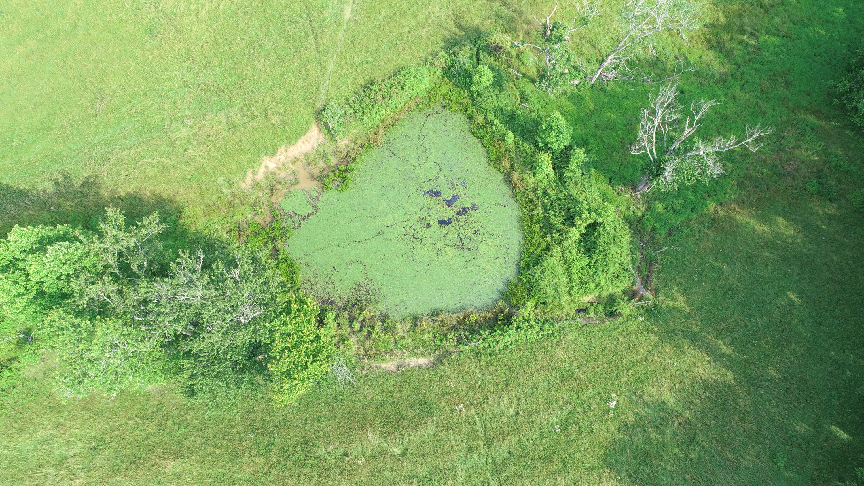 320 Tyree Road Annville, KY 40402 - Photo 33 of 50 DJI_0715