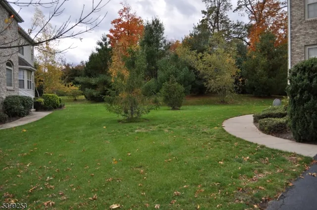 a view of a garden with a fountain